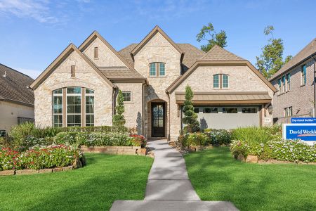 Grand Central Park 55' Homesites by David Weekley Homes in Conroe - image 4