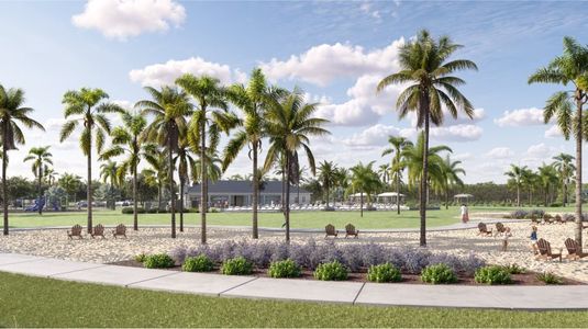 Seagrove: The Indies 24