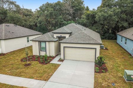 Lanier Acres by William Ryan Homes in Zephyrhills - photo 5 5