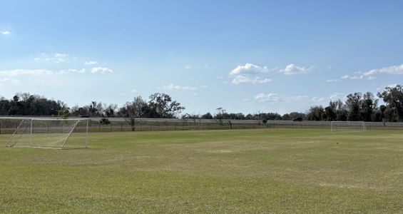 Avian Pointe Townhomes by D.R. Horton in Apopka - photo 10 10