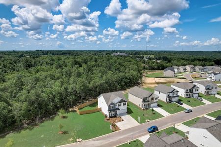 Beach Forest by Great Southern Homes in Sumter - image