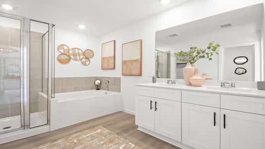 Granger Pines by D.R. Horton in Conroe - image 10