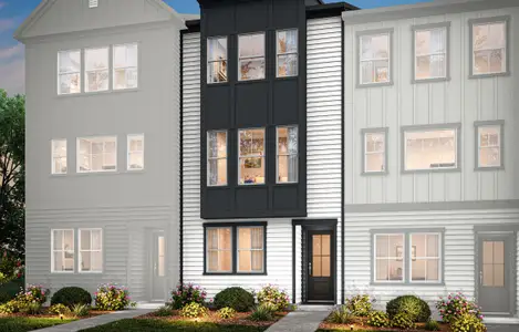 Bellflower by Tri Pointe Homes in Charlotte - image