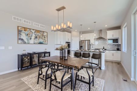 Pierson Park by Dream Finders Homes in Brighton - photo 18 18