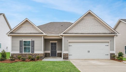 Arrington by Smith Douglas Homes in Adairsville - photo 11 11