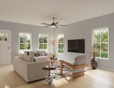 Hickory Cove by DSLD Homes in Burns - image 13