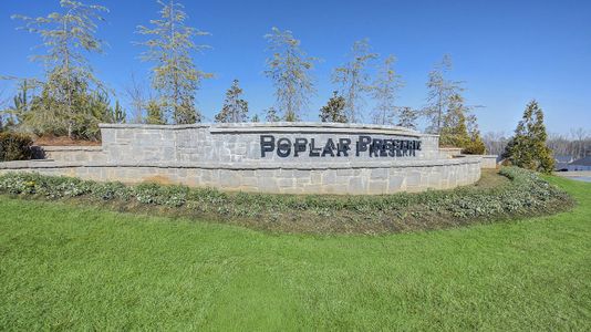 Poplar Preserve by D.R. Horton in Newnan - image