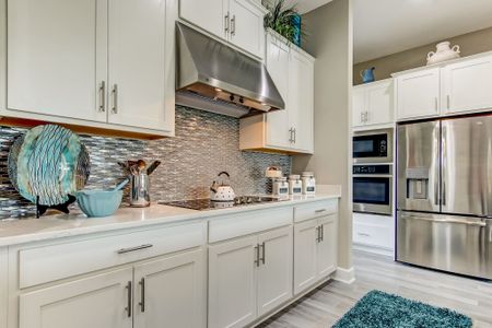 Sandy Creek by SEDA New Homes in Saint Augustine - photo 42 42