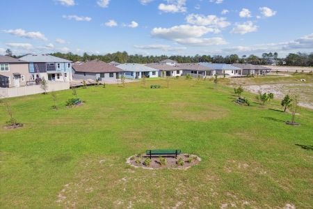 Avalon West by M/I Homes in Spring Hill - photo 46 46