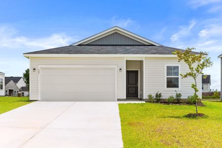Boiling Spring Lakes by Dream Finders Homes in Southport - image