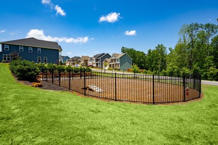 Cottages at Lake Emory by Mungo Homes in Inman - image 12