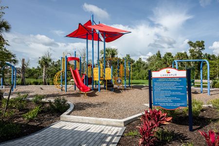 Lakespur at Wellen Park by Mattamy Homes in Venice - image 11