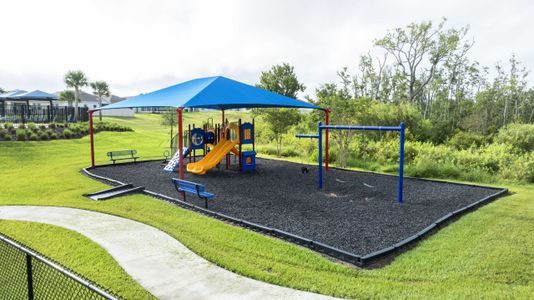 Hammock Reserve by Maronda Homes in Haines City - photo 26 26