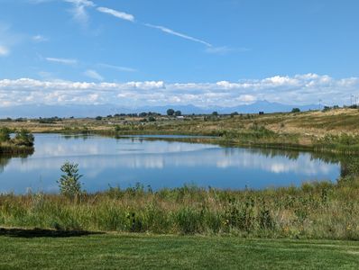 Barefoot Lakes by American Legend Homes in Firestone - photo 16 16