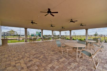 Hilltop Point by M/I Homes in Dade City - photo 59 59