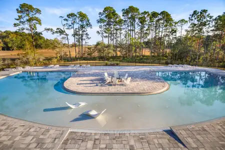 Starburst at Hammock Bay by DSLD Homes in Freeport - image 3