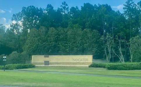 West End At Town Center In Nocatee by Dostie Homes in Ponte Vedra Beach - image