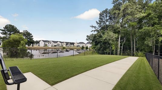 Stella View: Summit 20