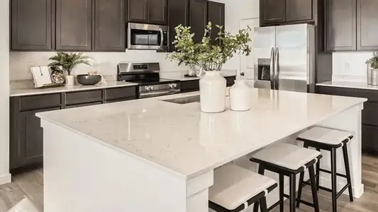 Timber Lark: Paired Homes A 4