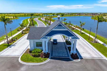 Palmera Wellen Park – Executive Series by David Weekley Homes in Venice - image 2
