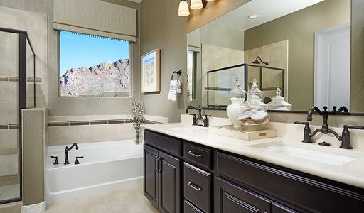 Light Sky Ranch by Richmond American Homes in Queen Creek - photo 30 30