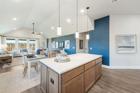 Arcadia Trails Classic 60 by Bloomfield Homes in Balch Springs - photo 43 43