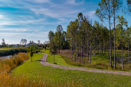 Trinity Gardens by Trinity Family Builders in Deland - image 12