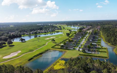 Gray Hawk at Hole Two by CFB Homes in Daytona Beach - photo 1 1