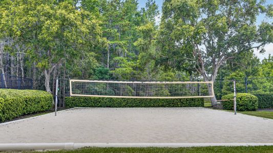 Longleaf: The Havens 16