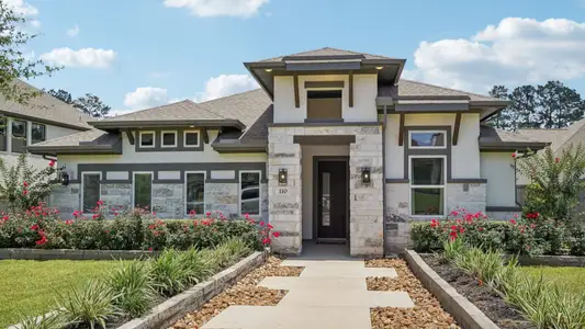 The Woodlands Hills by DRB Homes in Willis - image 3