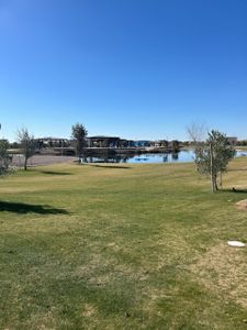 Brambling at Waterston Central by Tri Pointe Homes in Gilbert - photo 47 47