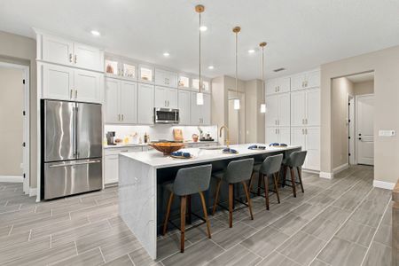 River Preserve Estates by William Ryan Homes in Parrish - image 8