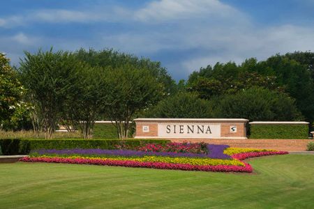 Sienna 40' Homesites by David Weekley Homes in Missouri City - photo 38 38