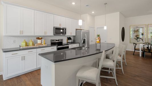 The Villas at Galvins Ridge by D.R. Horton in Sanford - image 9