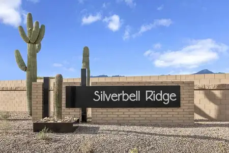 Silverbell Ridge by Mattamy Homes in Tucson - image