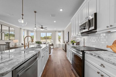Friedrich Hill by Rosehaven Homes in San Antonio - image 8