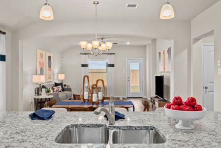 Southern Pointe by D.R. Horton in College Station - image 8