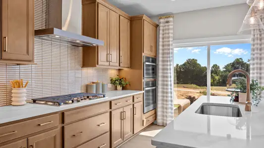 Farms at Bellingham by DRB Homes in Mooresville - image 14