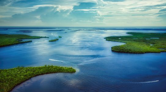 Orchid Cove by Maronda Homes in Bokeelia - image 10