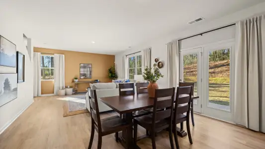 Oconee Overlook by D.R. Horton in Gainesville - image 4