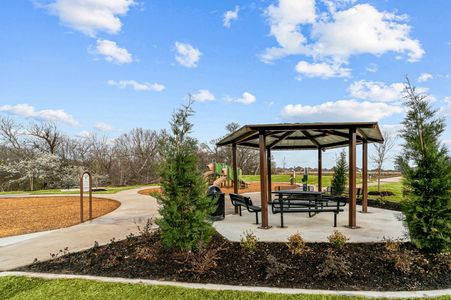 Forest Park by M/I Homes in Princeton - photo 14 14