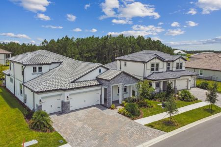 Shortgrass at Two Rivers by M/I Homes in Zephyrhills - image 14
