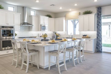 Bellero Estates by Elliott Homes in Queen Creek - photo 51 51