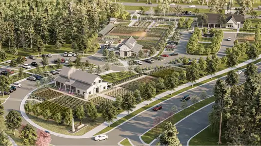 Angeline: The Manors by Lennar in Land O' Lakes - image