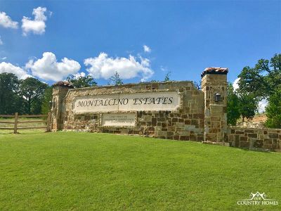 Montalcino Estates by Our Country Homes in Flower Mound - photo 1 1