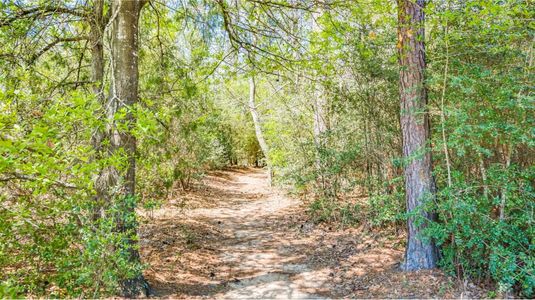 The Highlands: Pinnacle Collection by Lennar in Porter - image 19