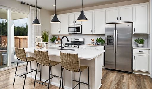 Sierra at Ascent Village by Richmond American Homes in Littleton - photo 43 43