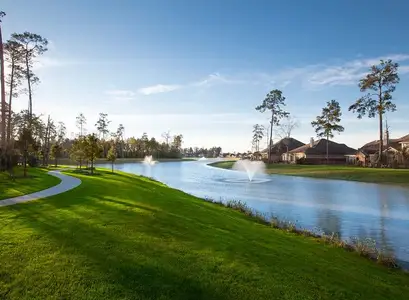 The Meadows at Imperial Oaks by Ashton Woods in Conroe - image 13