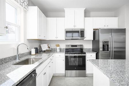 Seminole Palms Townhomes by Ryan Homes in Palm Coast - image 4