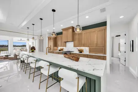 River Preserve Estates by Medallion Home in Parrish - image 5